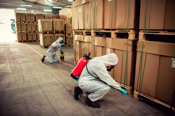 Best Emergency Pest Control  in Landrum, SC