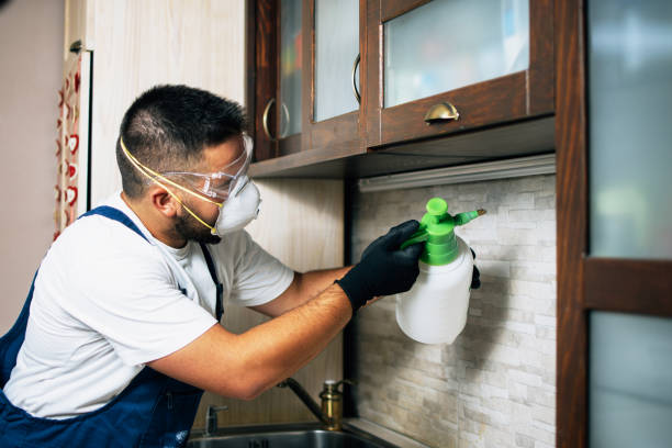 Best Termite Control Services  in Landrum, SC