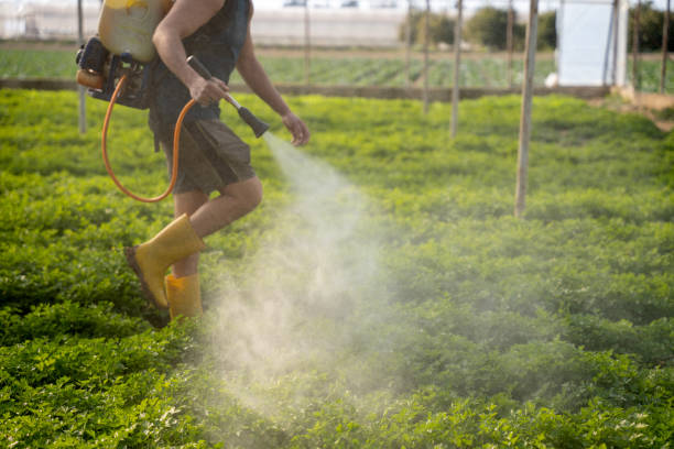 Best Pest Control Near Me  in Landrum, SC