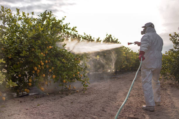 Reliable Landrum, SC Pest Control Solutions