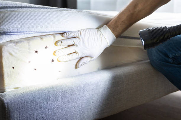 Best Pest Inspection Near Me  in Landrum, SC