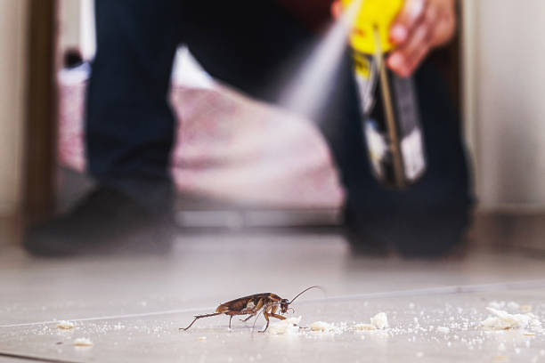 Pest Prevention Services in Landrum, SC