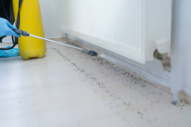 Best Best Pest Control Companies  in Landrum, SC