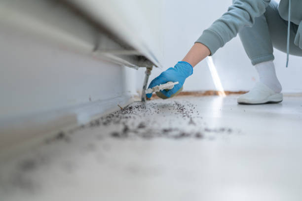 Best Residential Pest Control  in Landrum, SC