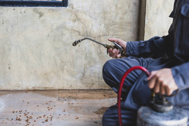 Best Affordable Pest Control Services  in Landrum, SC